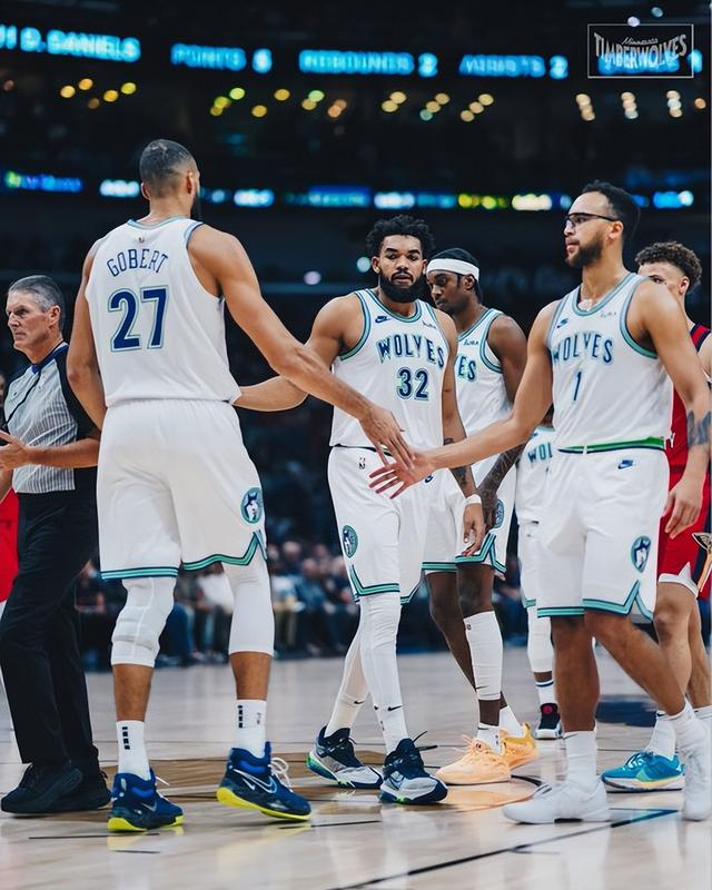 森林狼击败鹈鹕，卡尔-安东尼-唐斯大结局