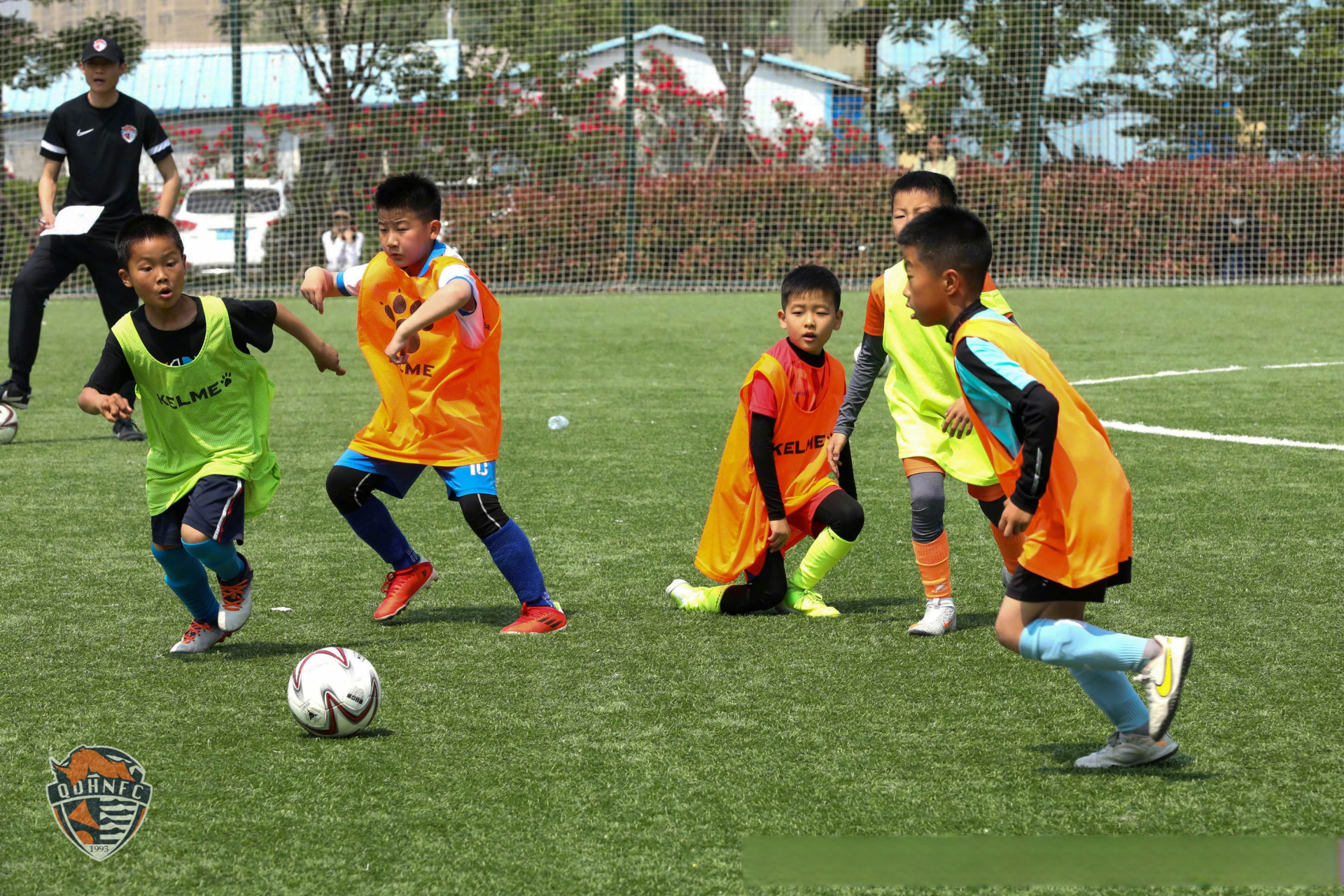 球队准备加强青训计划培养新人